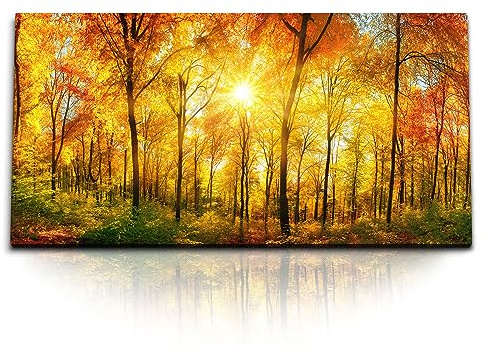 Paul Sinus Kunstdruck Bilder 120x60cm Wald Herbst Herbstblätter Natur Rot Sonnenschein