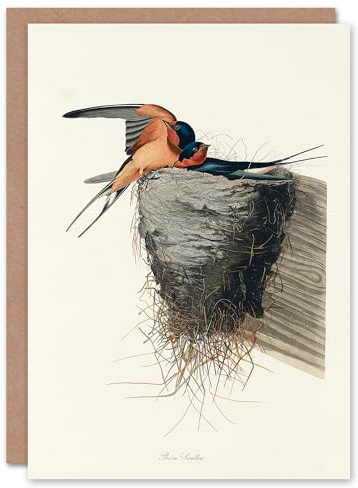 Artery8 John James Audubon Art Card Birds of America Barn Swallow