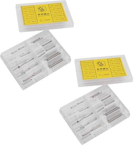 Fabater Ensemble de Vis de Ceinture de Liaison de Liaison de la Bande de Montre Durable pour les Types de Montres, 100pcs Vis en Acier Inoxydable pour les Amateurs de