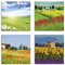 ARTLAND Wanddeko Leinwand Bilder Set 4tlg. je 30x30 cm Quadratisch Wandbilder Landschaft Blumen Felder Grün Natur Gänseblume Mohn Lavendel J6XG