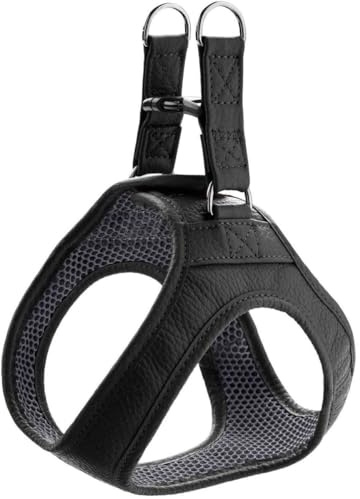 HUNTER Hundegeschirr Hilo, Farbe: schwarz, für kleine und kopfscheue Hunde, weiches Leder, gepolstert mit atmungsaktivem Mesh-Material, pflegeleicht und strapazierfähig, Made in Germany, Größe: XS