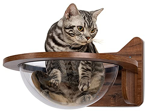COSTWAY Katzenliege für die Wand, Kletterwand Katzen, transparente Halbkugel mit Holzrahmen, Katzenbett Katzenmöbel bis 10 kg, Katzenregal Wandmontage, Wandmöbel Wandliege Holz, 40x40x23cm, braun