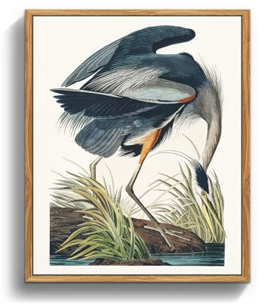 MHARTK66 Vintage Vogel Leinwand Bilder mit Rahmen Holz, 40x60 cm Wandbilder Wohnzimmer Kanadareiher Bild Aesthetic, Tier Illustration Wanddeko Schlafzimmer Badezimmer Büro Zimmer
