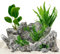 AquaOne Aquarium Pflanzen I Die 5 einfachsten Wasserpflanzen für Anfänger! I Einsteiger Aquarienpflanzen I Langsam wachsende Anubias Microsorum I Basic Starter Set