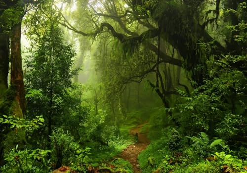 Tapete Deko 350x250cm Grün Tropisch Natur Urwald Vliestapete,Wanddeko Wohnzimmer/Schlafzimmer,Fototapete 3d Effekt,Wandbilder