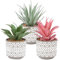Nisoger Artificial Plants in Pot, Set of 3 Faux Succulents Plants in Ceramic Pots with Bohemian Style
