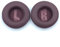 BeisDirect Ersatz-Ohrpolster für JBL LIVE400BT/460NC Headset, Ersatz-Ohrpolster aus Schaumstoff für JBL Live 400BT/460NC Kopfhörer-Ohrschutz, Schwamm-Ohrschutz, Rot