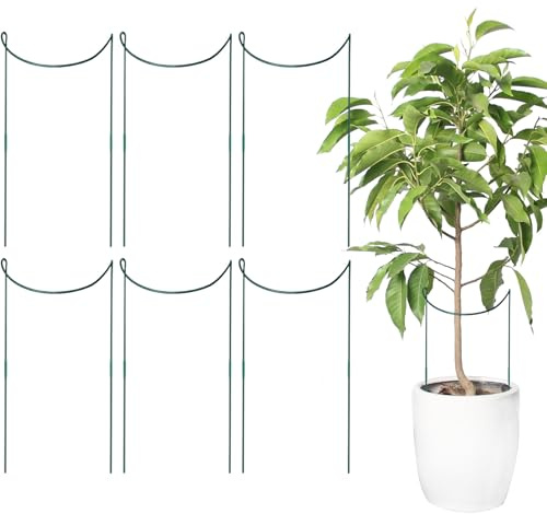 Moreeulsi Pflanzenstütze, Kletterpflanzen, Gartenblumenstütze, halbrund, Metall, Gartenzubehör, rostfreier Stielhalter für Hortensien, Hof, Pflanzgefäß