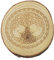 GORGECRAFT 9,9 cm Baum des Lebens Wandkunst Natur Holz Kristall Gitter Brett Heilige Geometrie Wanddekoration Meditation Chakra Holz Kunst Yoga Spirituelle Geschenke Hexerei Altar, Ritual