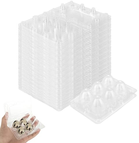 NAMYEUT 80 Stück Wachteleierschachteln 6er Plastik, 6 Gitter Kunststoff Wachtelei Kartons PVC Eierhalter, Transparente Eierschachteln mit Deckel für Wachteleier verpackung