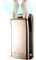 PRMTYUP Asciugamani Elettrico Commerciale, Asciugamani Elettrico Verticale Filtrato, Asciugamani Elettrico per WC Ad Alta velocità 5-7s, Asciugamani Elettrico, Asciugamani,d'oro
