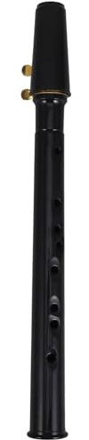 Cabilock Mini Saxophone Portable en Bois pour Garçon et Filles Débutants, Petit Instrument à Vent Compact, 2 Anches en Bambou et 3 Anches en Résine, Apprentissage Musical, Kit Complet 8