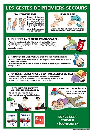Panneau - Gestes De Premiers Secours - Plastique Rigide PVC 1,5 mm - Dimensions 300 x 420 mm - Protection Anti-UV