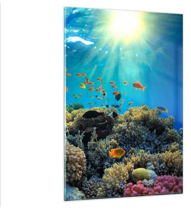 Wandbilder Dekoration Wohnzimmer Korallenriff Ozean Maritim Bilder auf Glas 80x120cm Glasbild Schlafzimmer Küche Deko Wand Kunstdruck Art Groß XXL Wanddeko Bild im Glas Modern Wall GPA80x120-5198