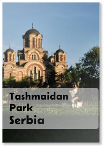 Berger australien joue avec un cône d'arbre dans le parc Tashmaidan près de l'église Saint-Marc le jour ensoleillé. Le chien voyage vers les sites touristiques populaires en Serbie, Belgrade. Église