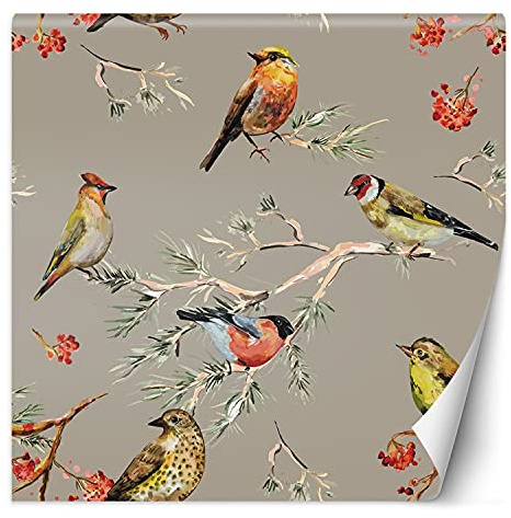 Feeby Vlies Fototapete Natur Vögel Zweige 250x250 cm mehrfarbig Wanddeko Inklusive Kleister Hotel Spa Büro Wohnzimmer Schlafzimmer Flur Blumen Abstrakt