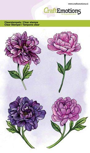 Clear Stamps - A6 - Pfingstrosen