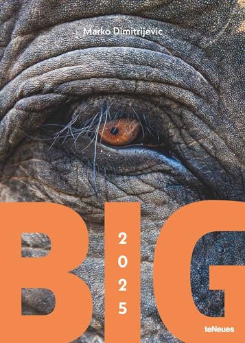 teNeues - Big 2025 Wandkalender, 50x70cm, Kalender mit den Giganten der Tierwelt, faszinierende und respekteinflößende Tiere, die zum Staunen verleiten, Bewunderung und Faszination
