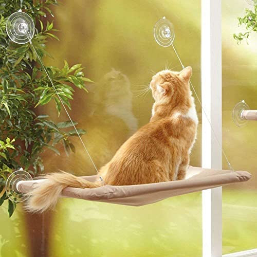 Mmbox lettino da finestra per gatti, comodo.