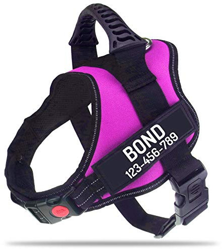PawPawify - Harnais Anti-Traction pour Chien avec nom et numéro de téléphone à Personnaliser - Plus de tiraillement ou d’étouffement