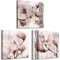 decomonkey Bilder Set Blumen 120x40 cm 3 Teilig Wandbild Groß Leinwandbild XXL Deko Wohnzimmer Schlafzimmer Büro Wanddeko Leinwand Pictures For Wall Poster Wall Painting Magnolie Natur