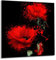 Kitchen Glass Splashback Heat Resistant Toughened Glass 60x65 cm graphic no. 1105