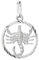 NKlaus Skorpion Sternzeichen 925er Sterlingsilber 15mm Kettenanhänger Horoskop Zodiak 9168