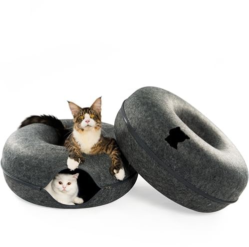 Cattasaurus Peekaboo Katzenhöhle, Duo, Jumbo-Set, extra geräumiger Katzen-Donut für mehrere und große Kätzchen, 15 kg, abnehmbare Kratzbetten für Indoor-Katzen, waschbares Katzentunnelbett, bestes
