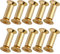 NICOLIE 10Pcs/Lot Brass Screw Rivet Knife Handle Lock Diy Knife Material Plate Fastening Flat Hex Head Screws