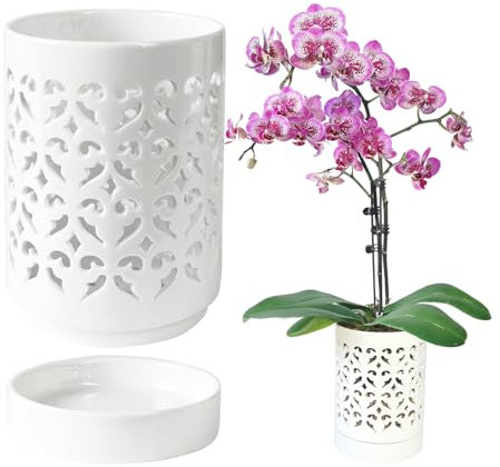 pavtner Vasi per orchidee con fori, vaso per orchidee in ceramica da 10 cm, per rinvaso, vaso per fiori per interni ed esterni, fioriera traspirante per orchidee scanalate, bianco