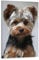 Jigsaw Puzzle 1000 Pieces，Yorkshire Terrier Cute Dog，Large Family Puzzle Game Artwork for Adults Teens（50x70cm）-A65