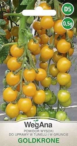 WegAna Tomate Couronne d'or Graines de tomate Jaune 0,5g, variété cocktail, graines de légumes robustes, graines de légumes, graines de culture, graines pour la serre