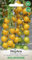 WegAna Tomate Couronne d'or Graines de tomate Jaune 0,5g, variété cocktail, graines de légumes robustes, graines de légumes, graines de culture, graines pour la serre