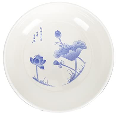 SHOWERORO Pot de Fleurs en Porcelaine Bleu et décoration de Fleurs Grands Pots de Plantes d'intérieur Pot de Fleur Design Pot de Fleur en Terre Cuite Contenant pour Plantes jardinière