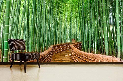 Fotomural Vinilo Pared Bosque Bambú | Fotomural para Paredes | Mural | Vinilo Decorativo | Varias Medidas 350 x 250 cm | Decoración comedores, Salones, Habitaciones...