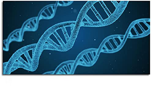 DNA Leinwanddruck, Helix-Saiten-Poster, Wandkunst für Zuhause, 1 Stück, ungerahmt 40,6 x 20,3 cm