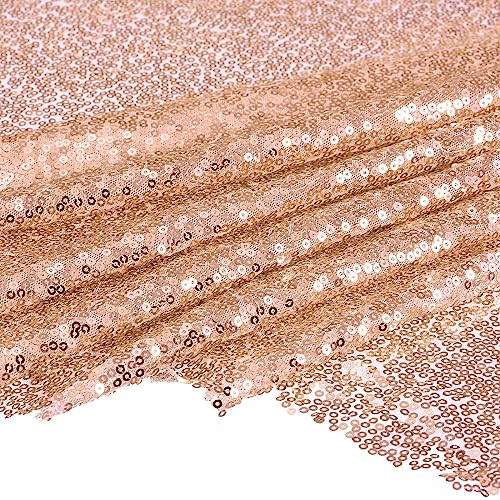 QUARKZMAN Pailletten Stoff Meterware 130cm x 364cm Sparkly Stoff glitzernder Stoff Mesh Pailletten-Stoff Spitzenstoff mit 3mm Runde Pailletten, Champagner