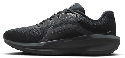 Nike Winflo 11 Straßenlaufschuh für Herren, FJ9509