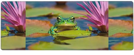Cute Frog Keyboard pad, Office Desk pad, and Writing pad are The Flawless Choice for Work and Entertainment