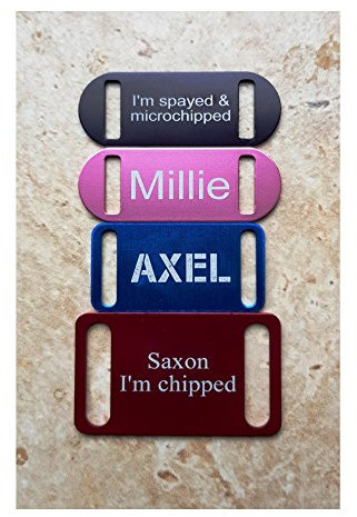 KNIFE-POINT Personalised, engraved Slide On Collar Dog/Cat ID tag/Sliding Collar ID Tag, MADE IN SHEFFIELD.