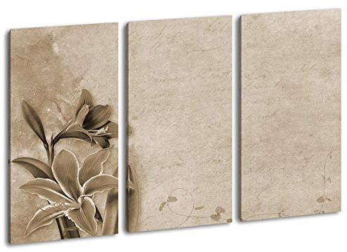 deyoli Leinwandbild Blühende Amaryllis – Farbenpracht der Natur Format: 120x80cm (3Teilig) Effekt:Sepia XXL Kunstdruck Bild auf Holzrahmen/Wandbild/Wohnzimmer Dekoration
