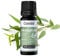 Eukalyptusöl Naturrein - Ätherisches Öl - Therapeutische Qualität – Eukalyptus Öl für Aromatherapie, Aromadiffuser - Aus der Apotheke - 10 ml