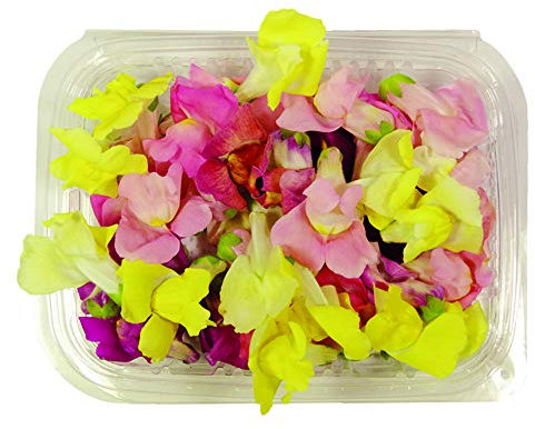Fiori Commestibili BIOLOGICI - 40 fiori di BOCCA DI LEONE di COLORI ROSA, FUCSIA, VIOLA e GIALLO in vaschetta alimentare di 16 cm x 13 cm x 1,5 cm - Coltivati in Toscana dall'azienda agricola Carmazzi