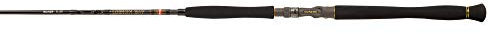 PENN Legion Cat Gold Inliner Cast baitcastruten