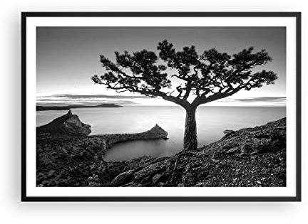 ARTTOR Affiche Decoration Murale Arbre Noir Et Blanc Vue Moderne Poster Cadre Noir 91x61cm Deco Affiches Murales Tableau Decoration Salon Chambre Cuisine Wall Art Design Decor P2BAA91x61-4297