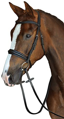 Collegiate Mono Crown Padded Raised Cavesson Bridle