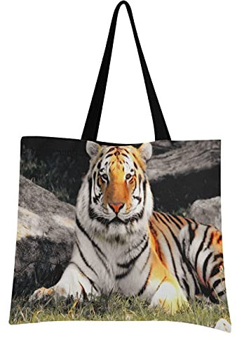Livingsoft Tier Tiger Gras Canvas Tote Bag Shopper Tasche Wiederverwendbare Echofreundliche Lebensmitteltasche mit Reißverschlusstasche für Damen Herren