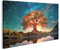 islandburner Prime Bild auf Leinwand Leuchtendes Yggdrasil Symbol legendärer Baum aus der Wikinger Mythologie Bilder Wandbilder Poster
