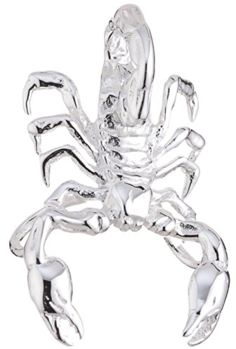 Vinani Damen Anhänger 925 Silber - Skorpion glänzend aus 925 Sterling Silber für Frauen & Herren Charms ASC-EZ