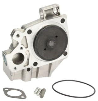 Hepu P119 Wasserpumpe